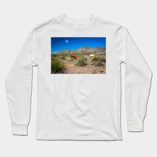 Criollo Cattle on the Open Range Long Sleeve T-Shirt